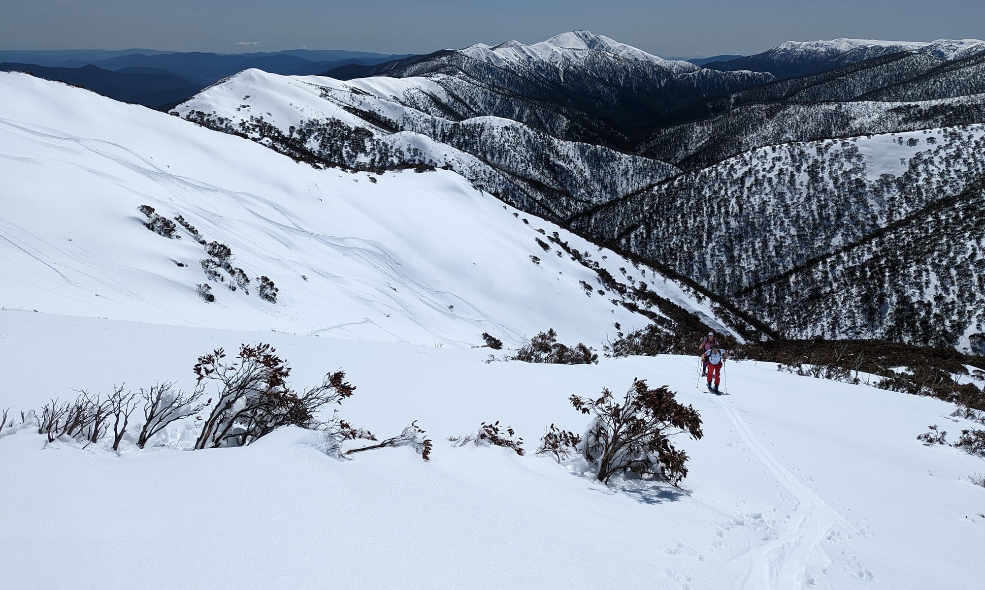 ADVENTURE: Skinning out of the Pink Hamburg zone up toward the Great Alpine Road. after skiing the Mt Hotham North Ridge (upper left of the pic). PHOTO: Chris Epskamp (Powderhounds.com)