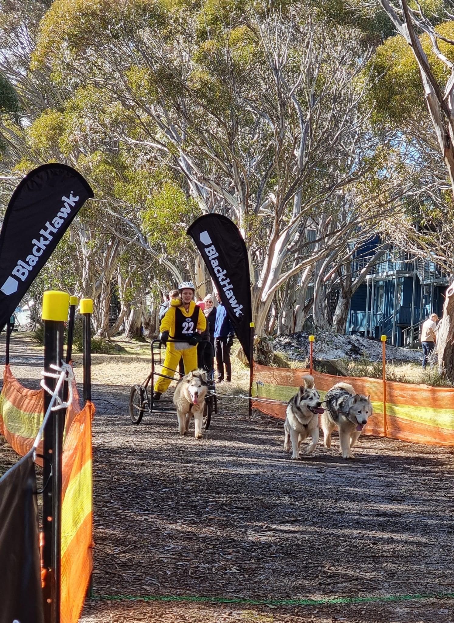 IN THE SPRINT: Vanessa Joy (Victoria) in the three dog race. 

