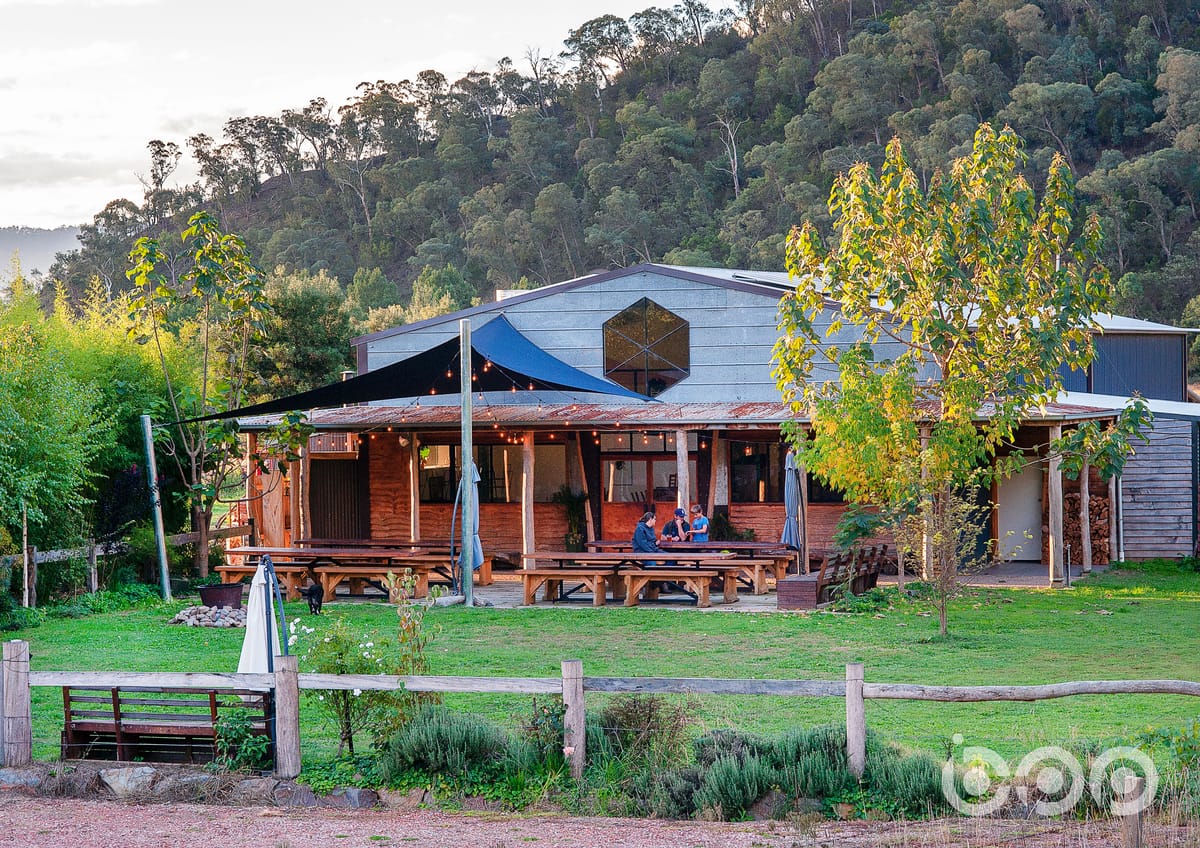 A dream brewing team Post feature image