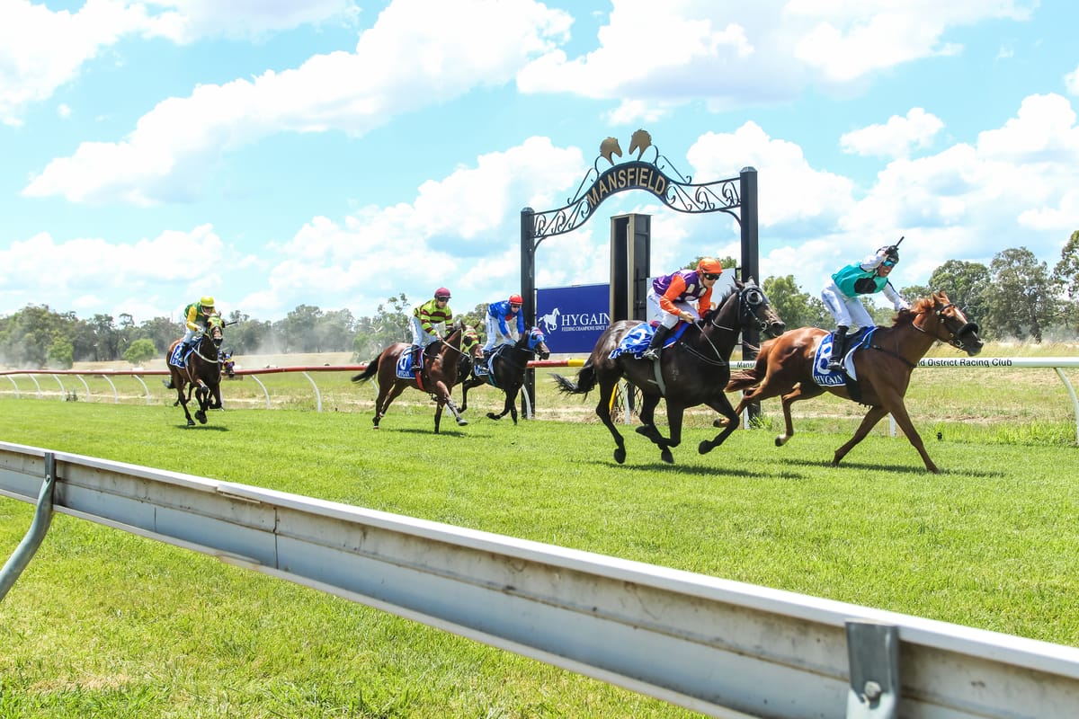 Mansfield Melbourne Cup Day Picnic Races are back Post feature image