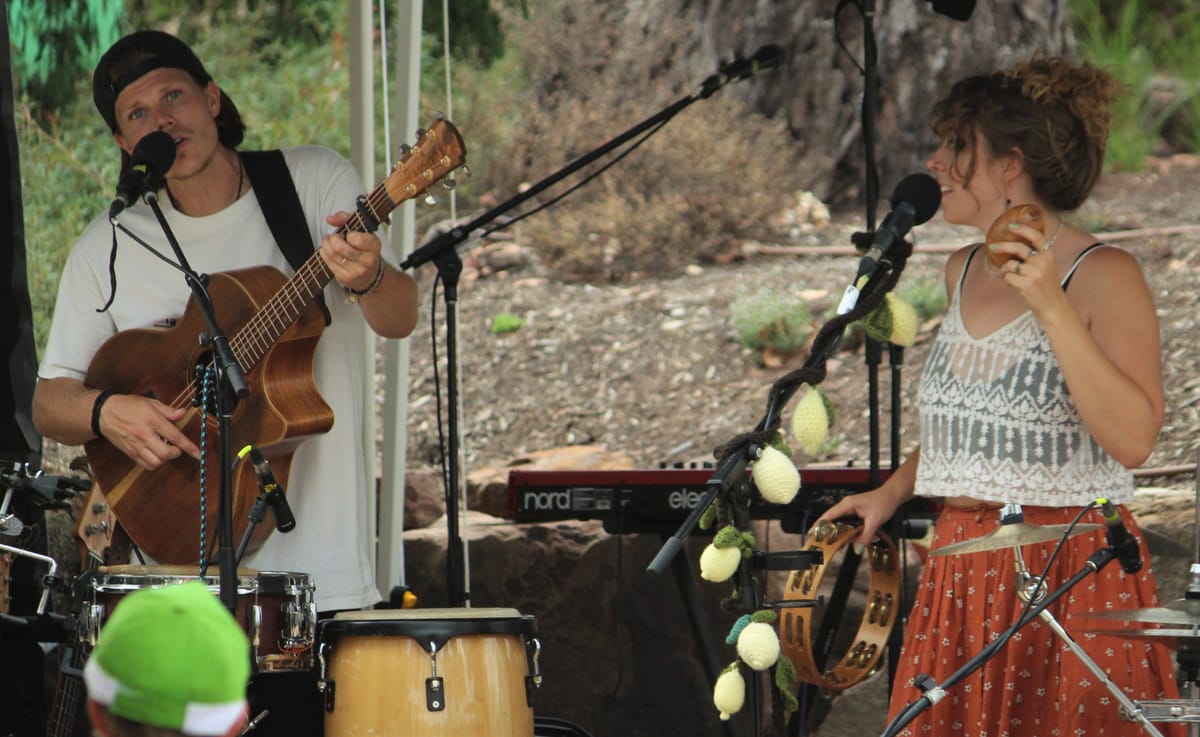 Music in the Vines fun for all Post feature image