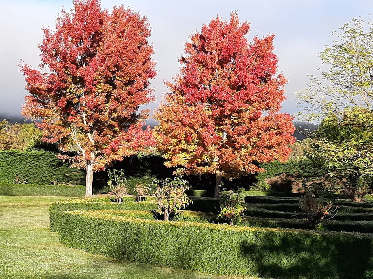 Where else would you be this autumn? Post feature image