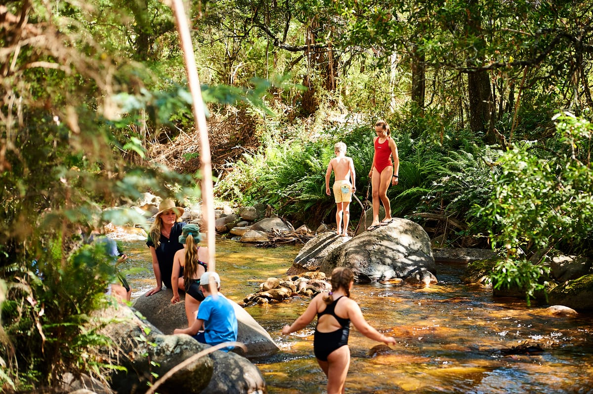 Mirimbah Precinct Masterplan opportunity for input Post feature image