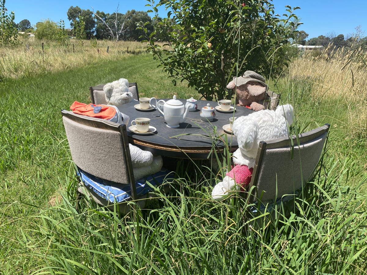 If you go out today... Post feature image