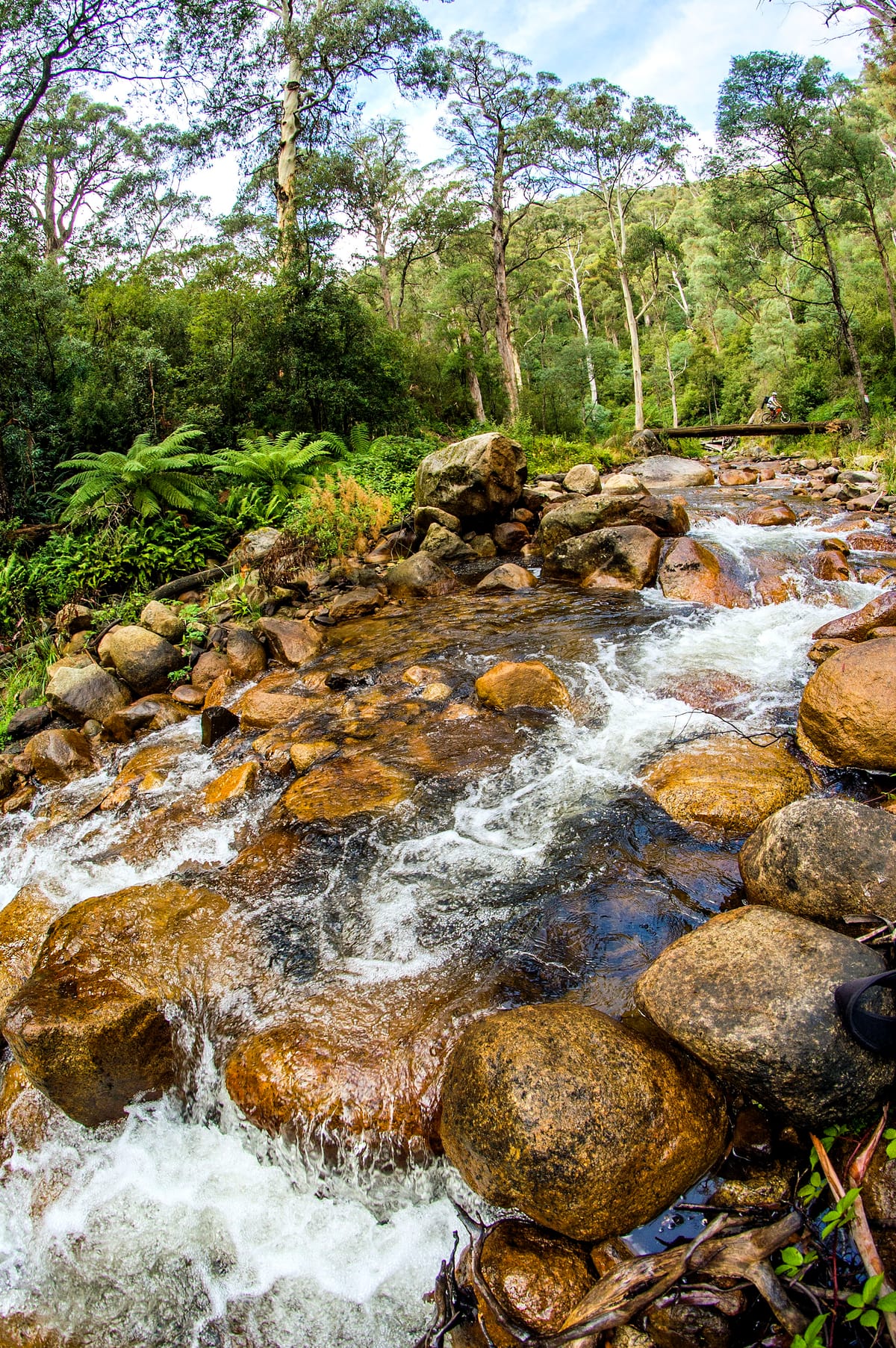 Explore Mansfield Post feature image