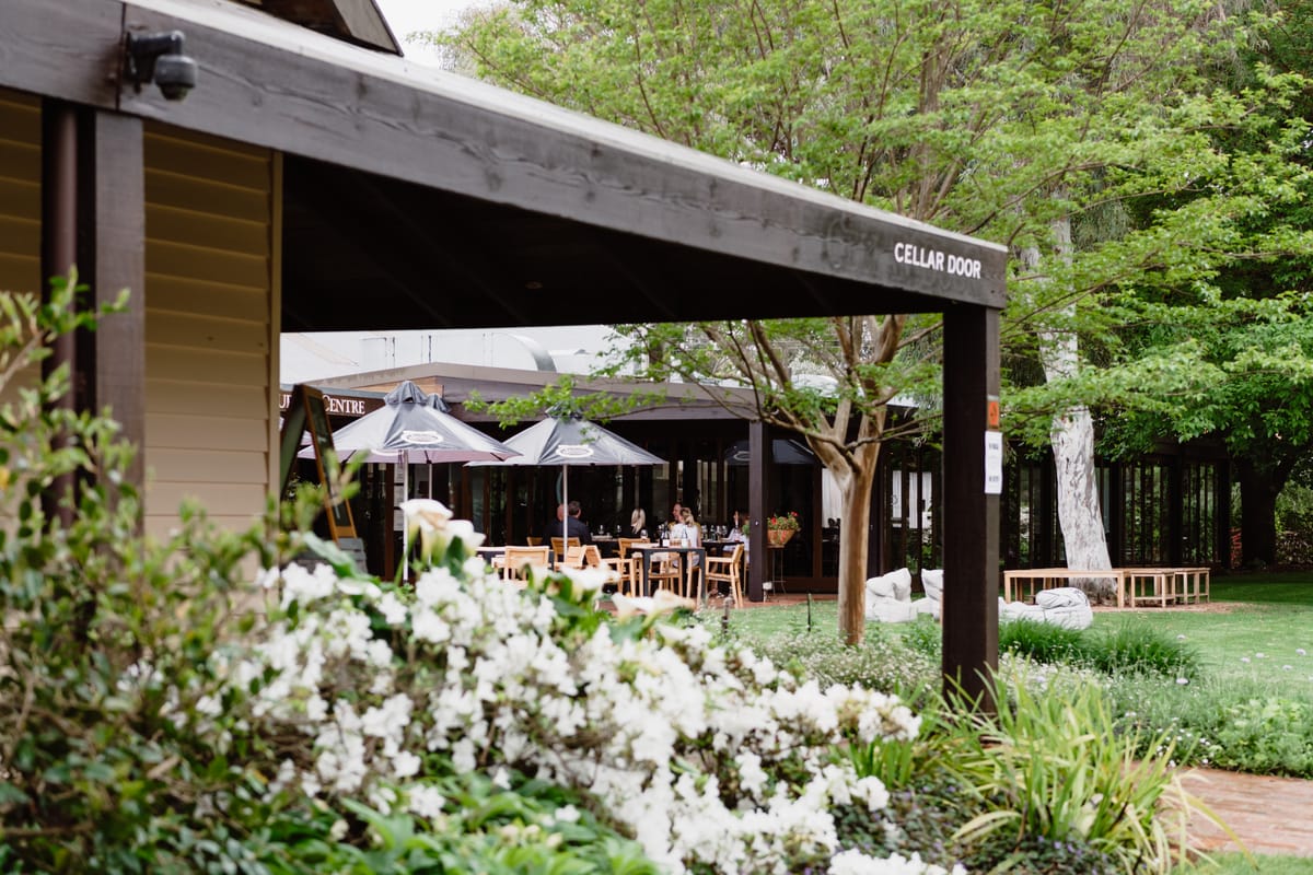 Experience a new food philosophy Post feature image