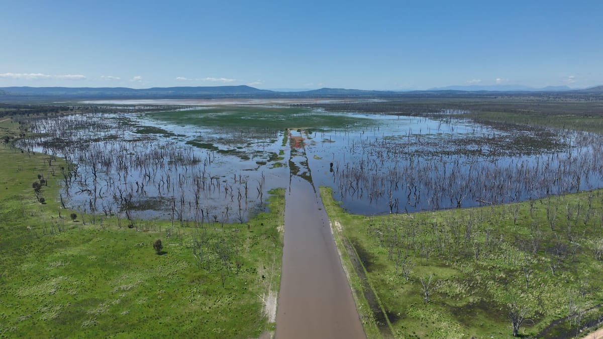 Winton Wetlands: more to see than ever Post feature image