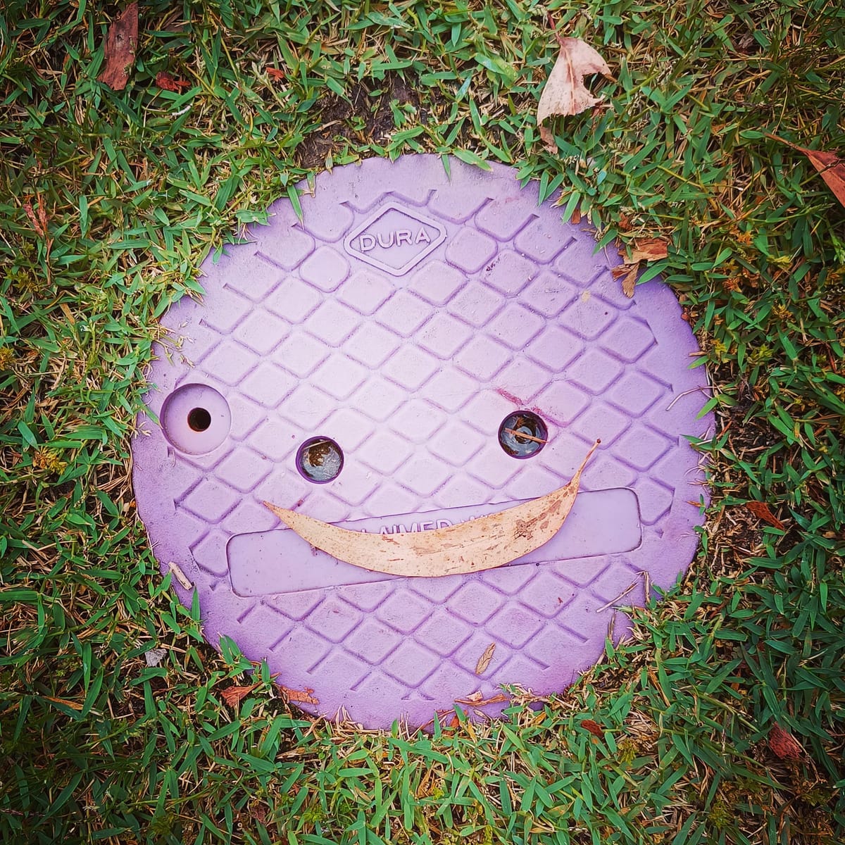 Photography for one and all Post feature image