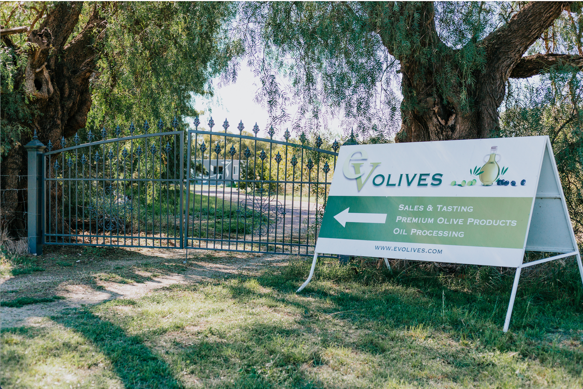 EV Olives Post feature image