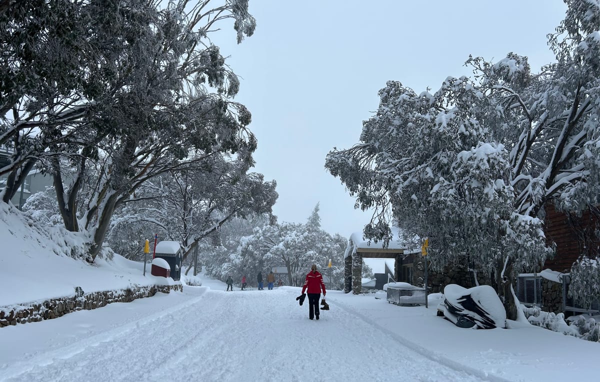 Festive fun, culinary delights get season off to great start at Falls Post feature image