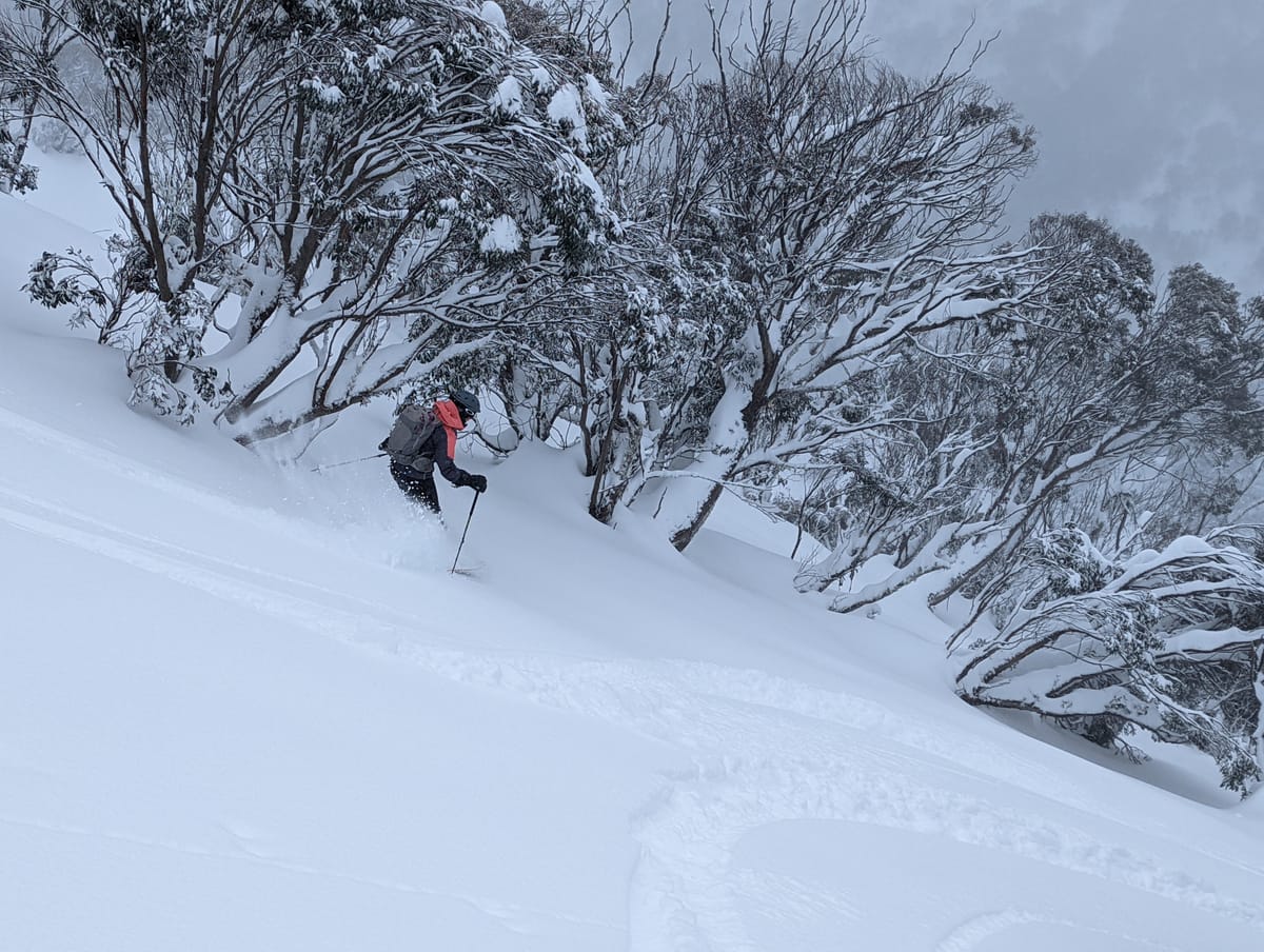 Tis the season to be jolly Post feature image