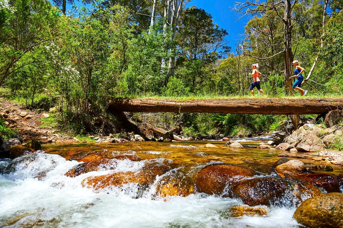 Make your way to Mansfield this autumn Post feature image