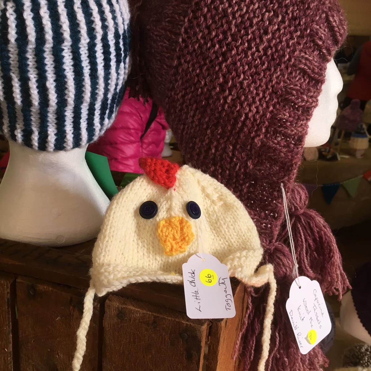 Beetles, bugs and butterflies Post feature image