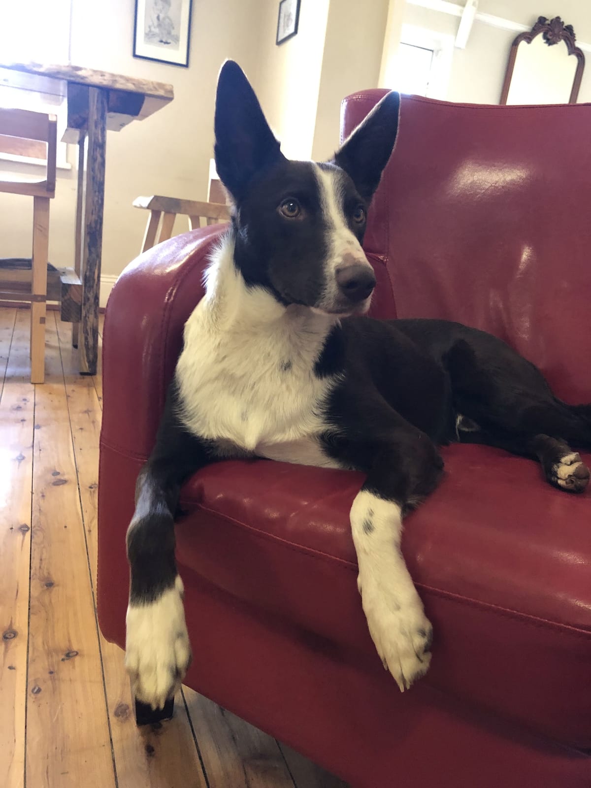 Room to relax and unwind in an historic pub Post feature image