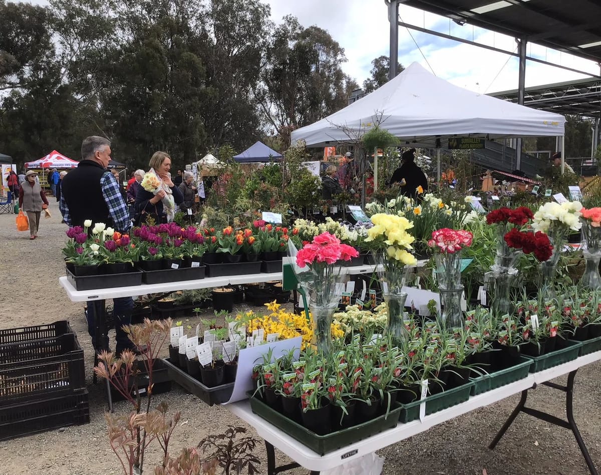 A gardener's delight in Yea Post feature image