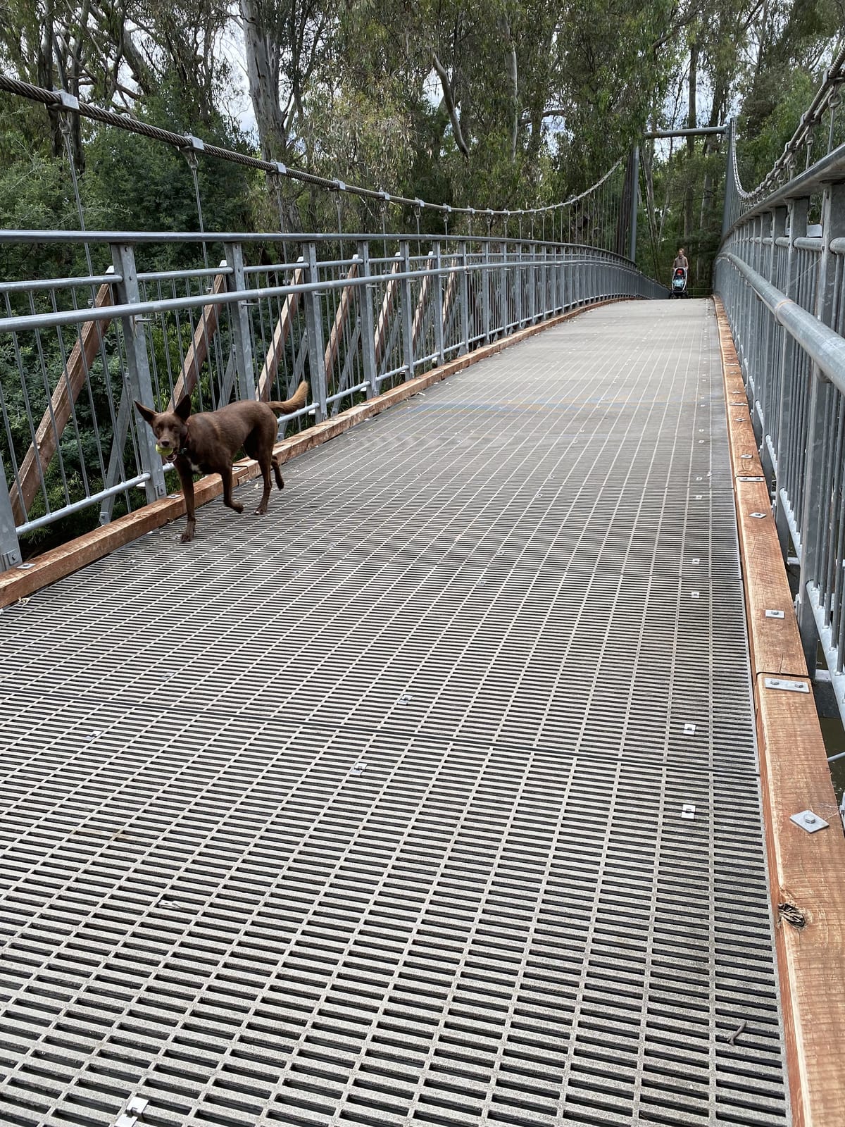 Experience Wangaratta this autumn Post feature image