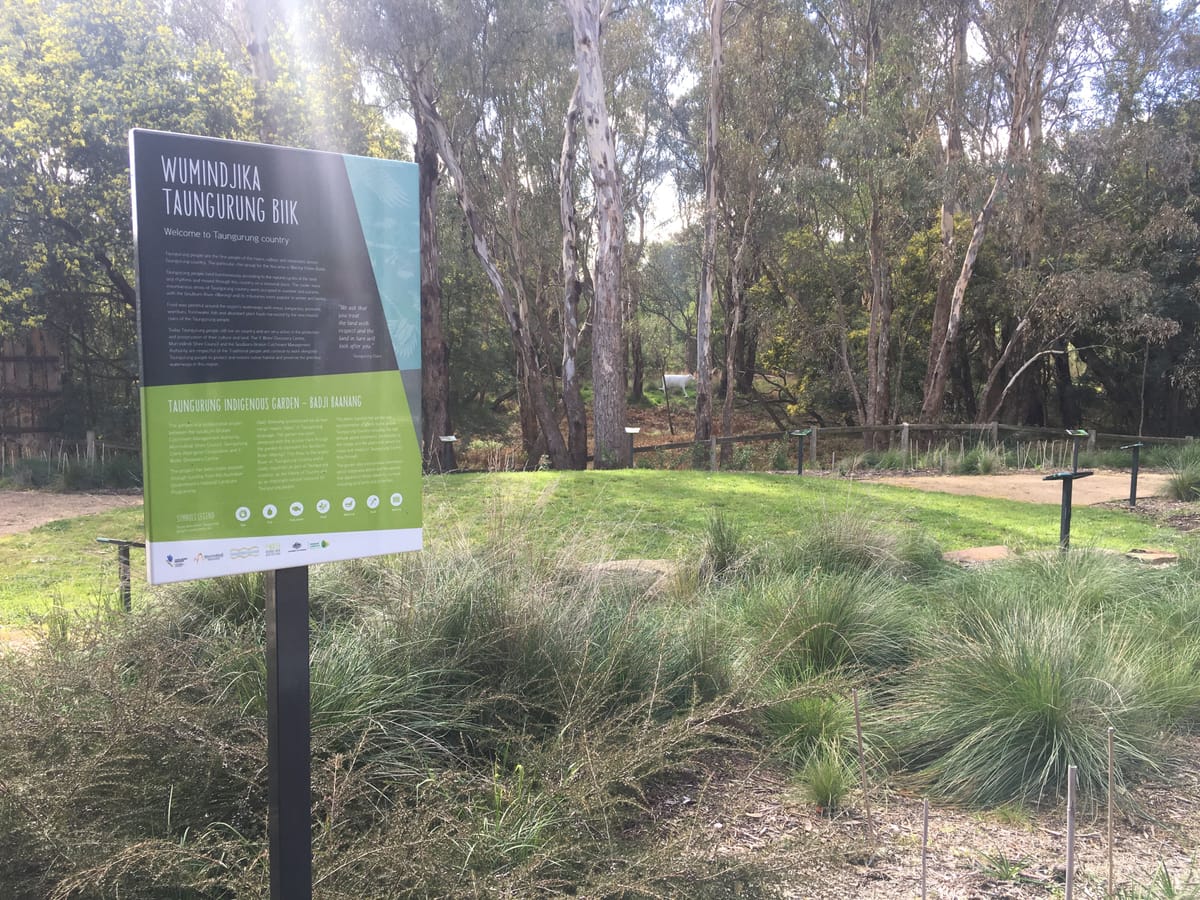 Summer at the Yea Wetlands Discovery Centre Post feature image