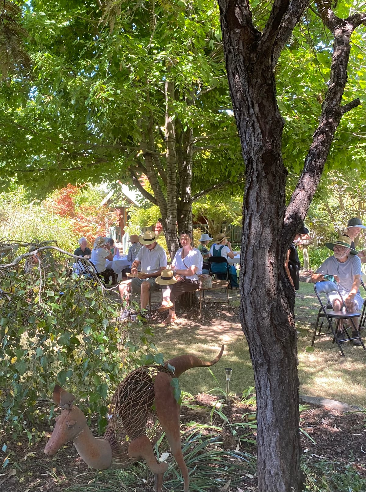 Open gardens a success Post feature image