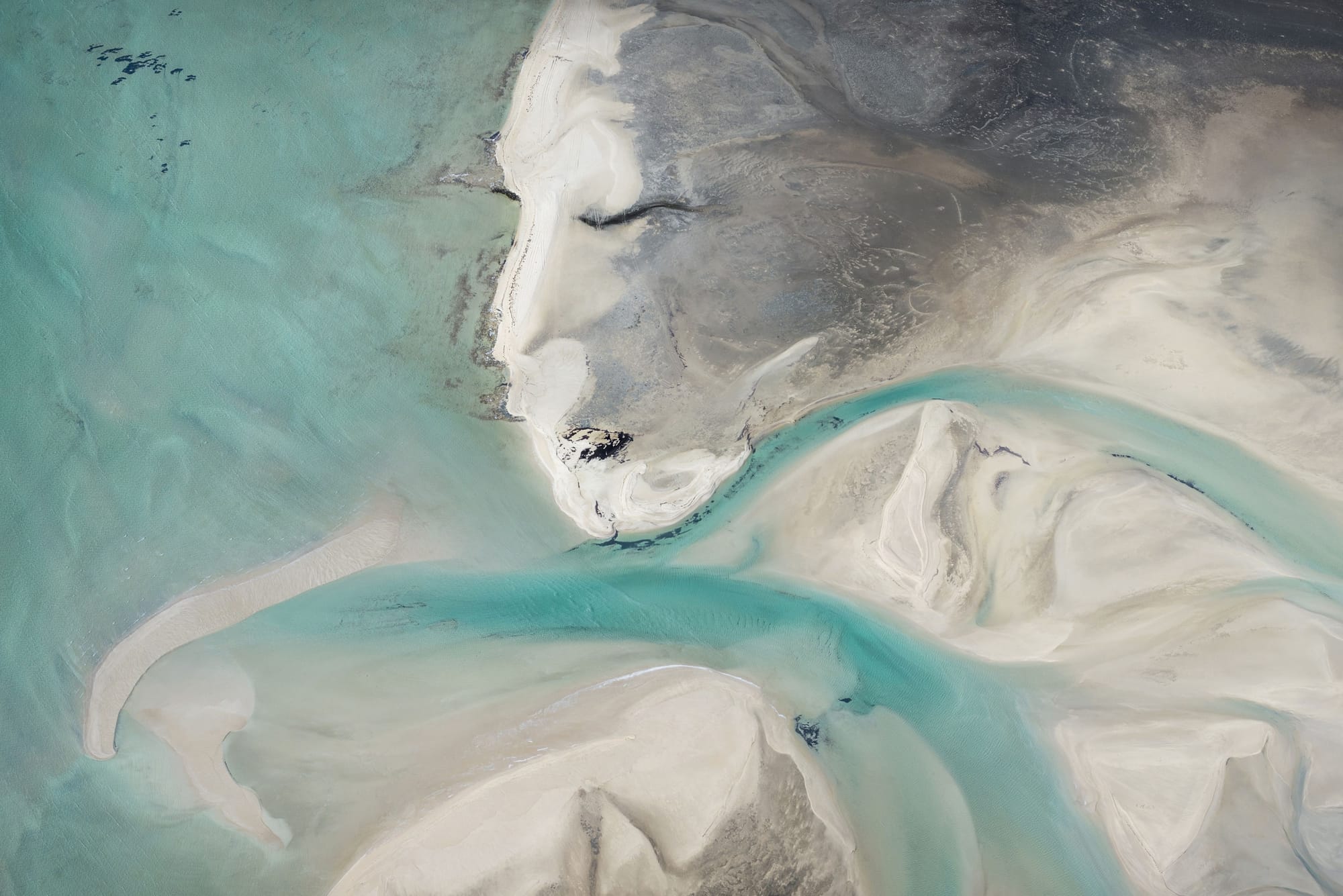 An ocean deity captured Post image