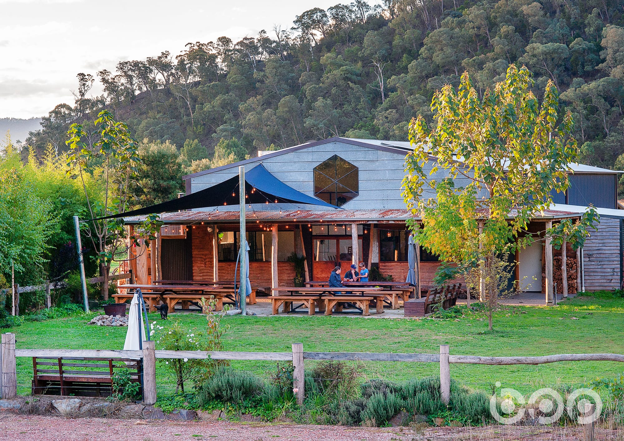 A dream brewing team Post image