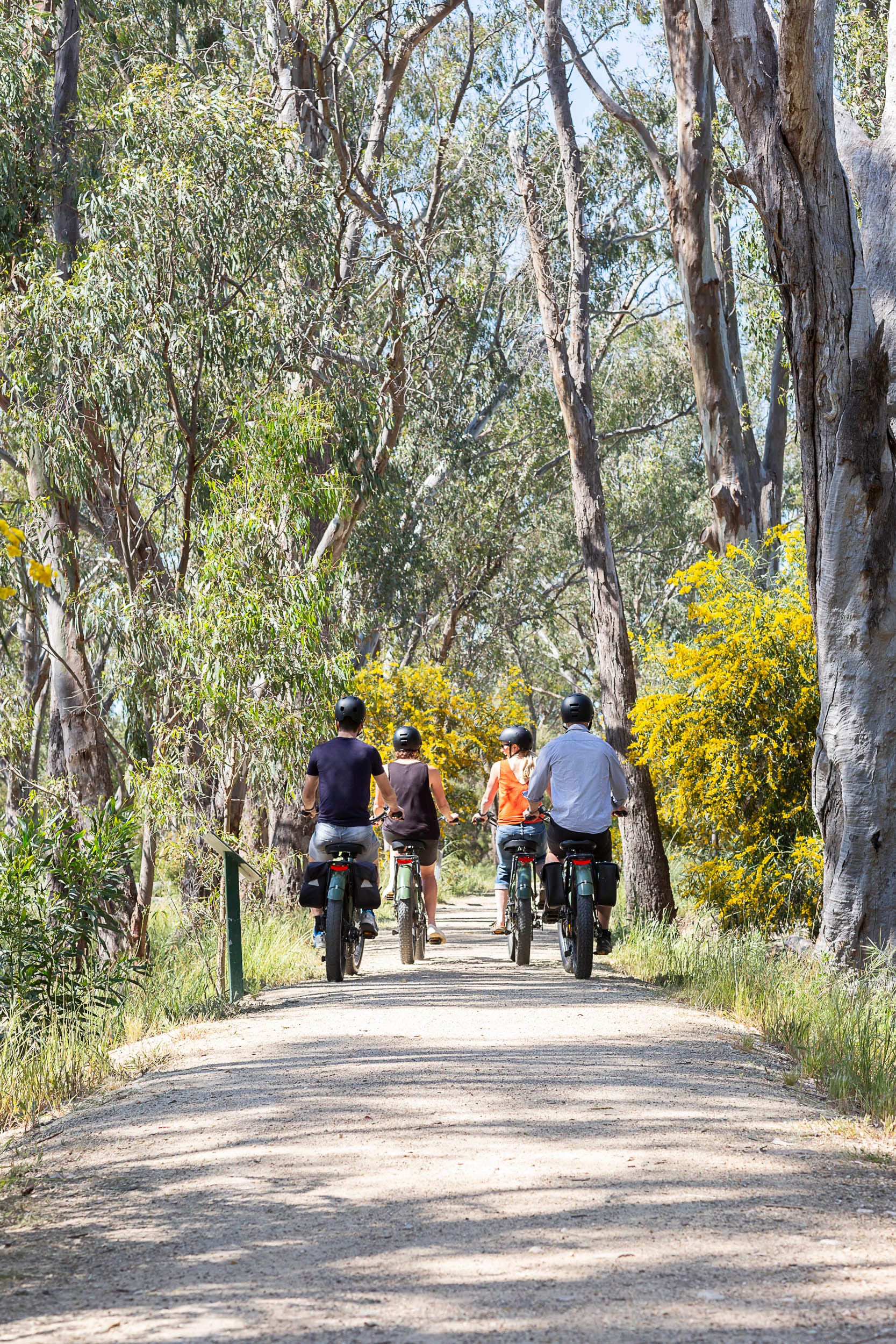 Autumn adventures await in Rutherglen wine country Post image
