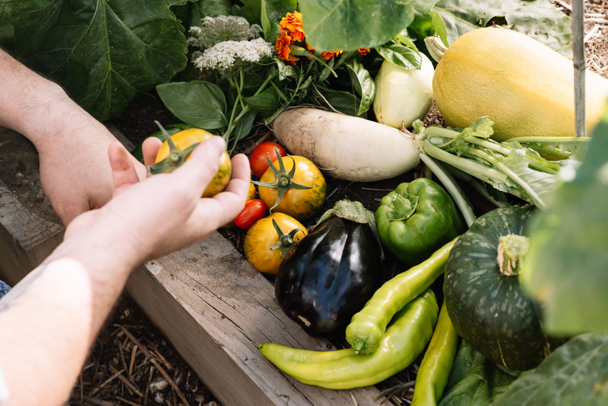 Experience a new food philosophy Post image