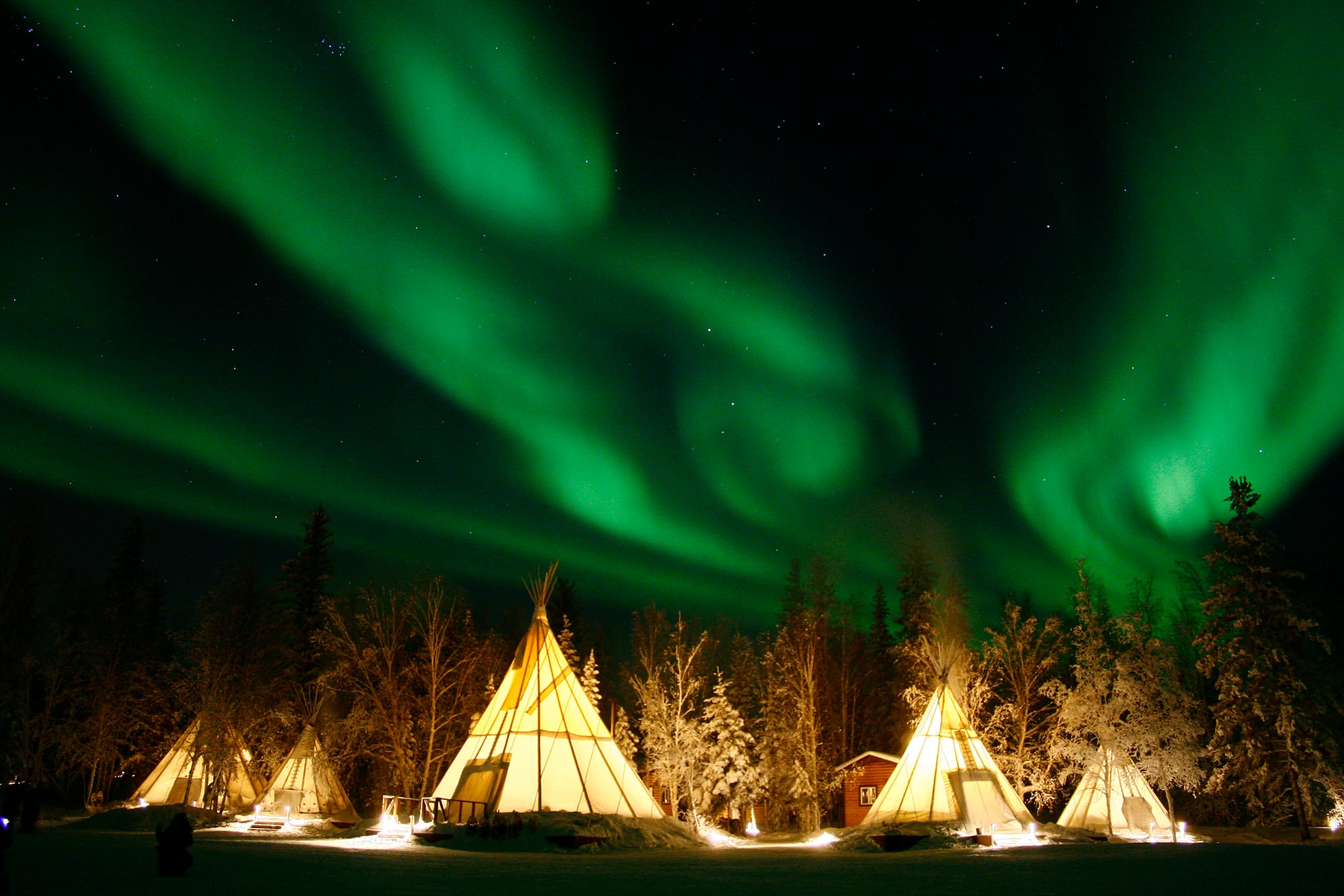 Skiing Canada this season? Post image