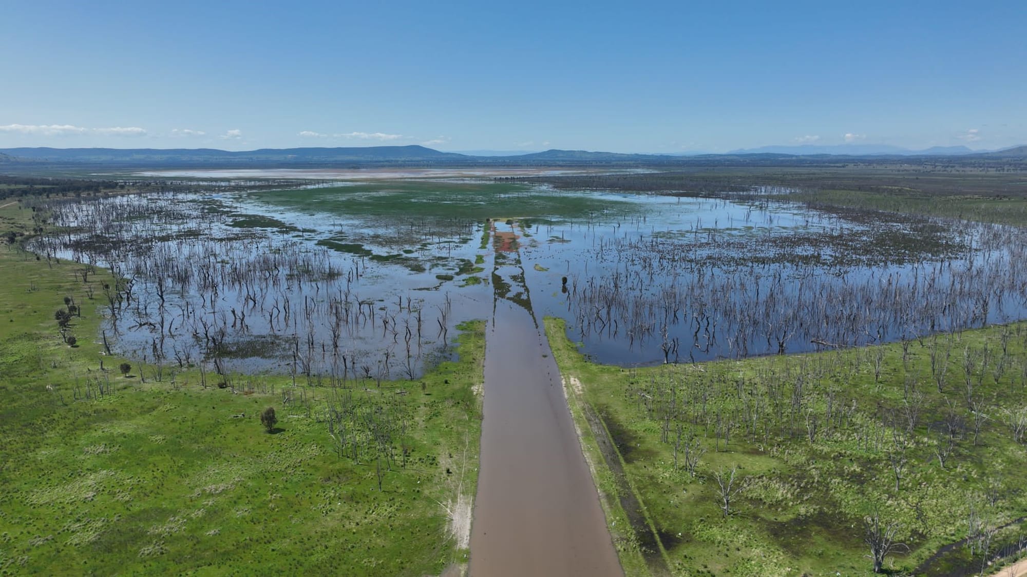 Winton Wetlands: more to see than ever Post image