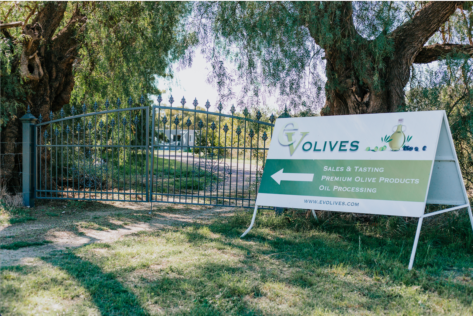 EV Olives Post image