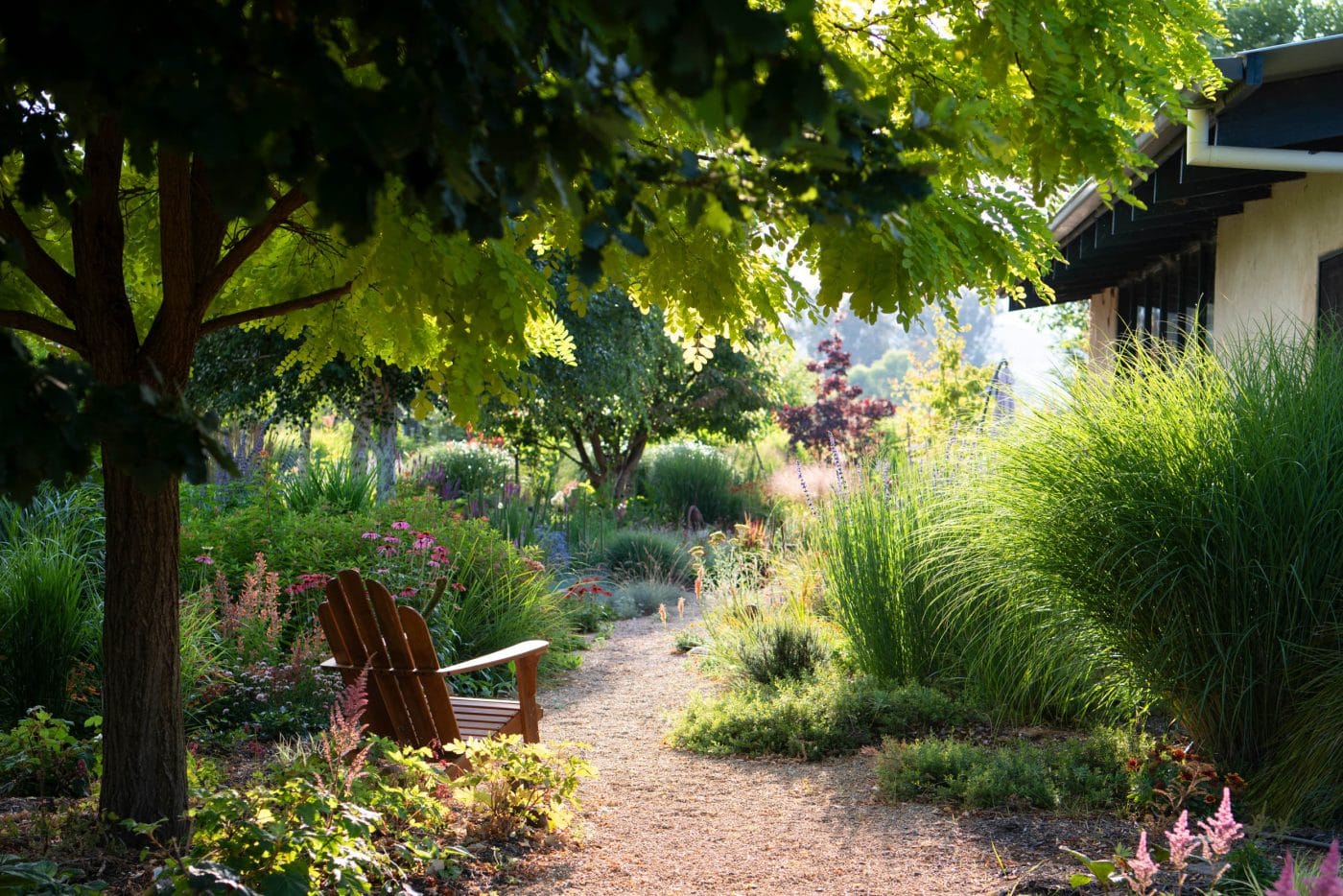 'Broken River Beauties' to go on display Post image