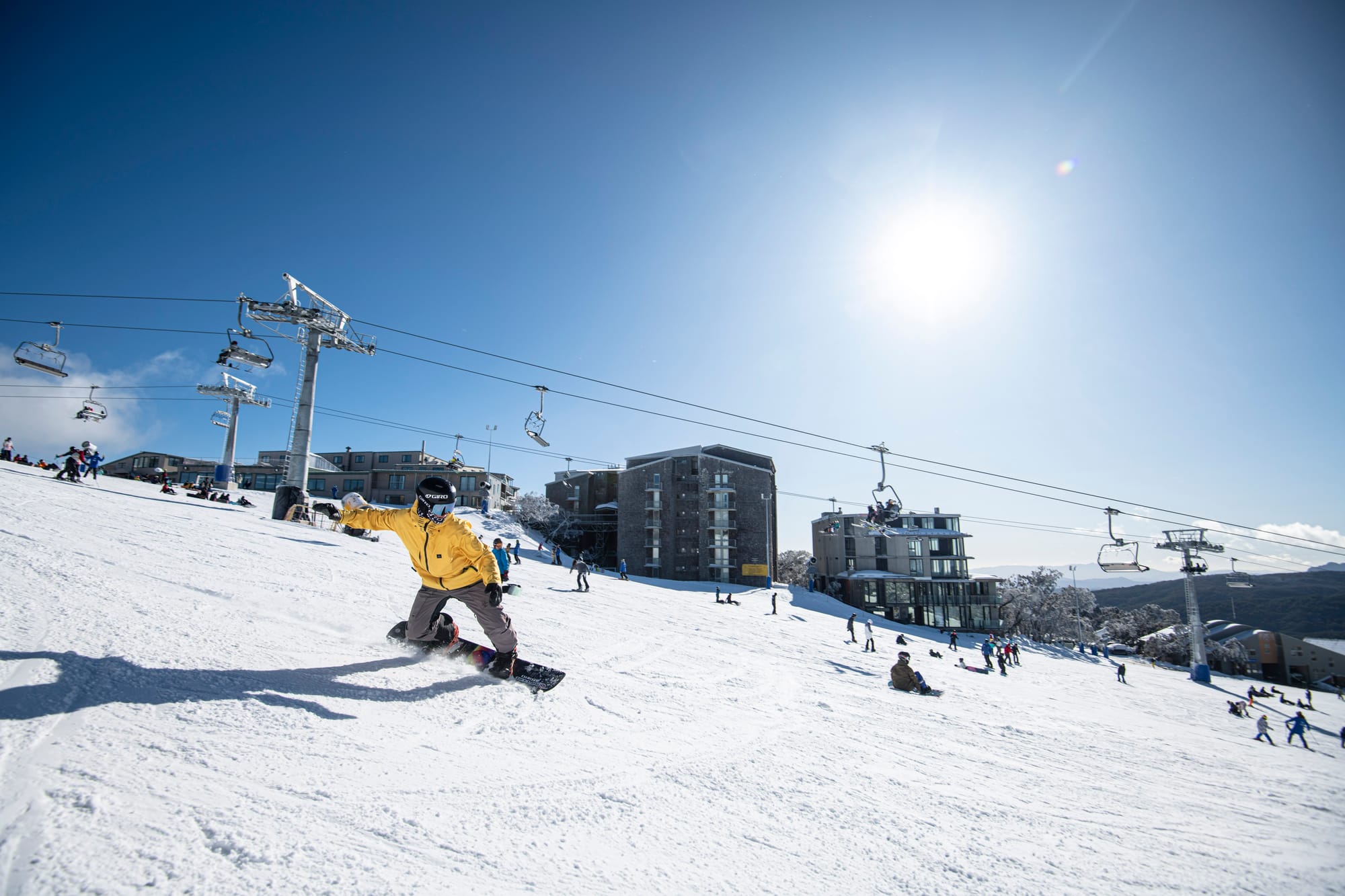 Bumper season off to a great start Post image