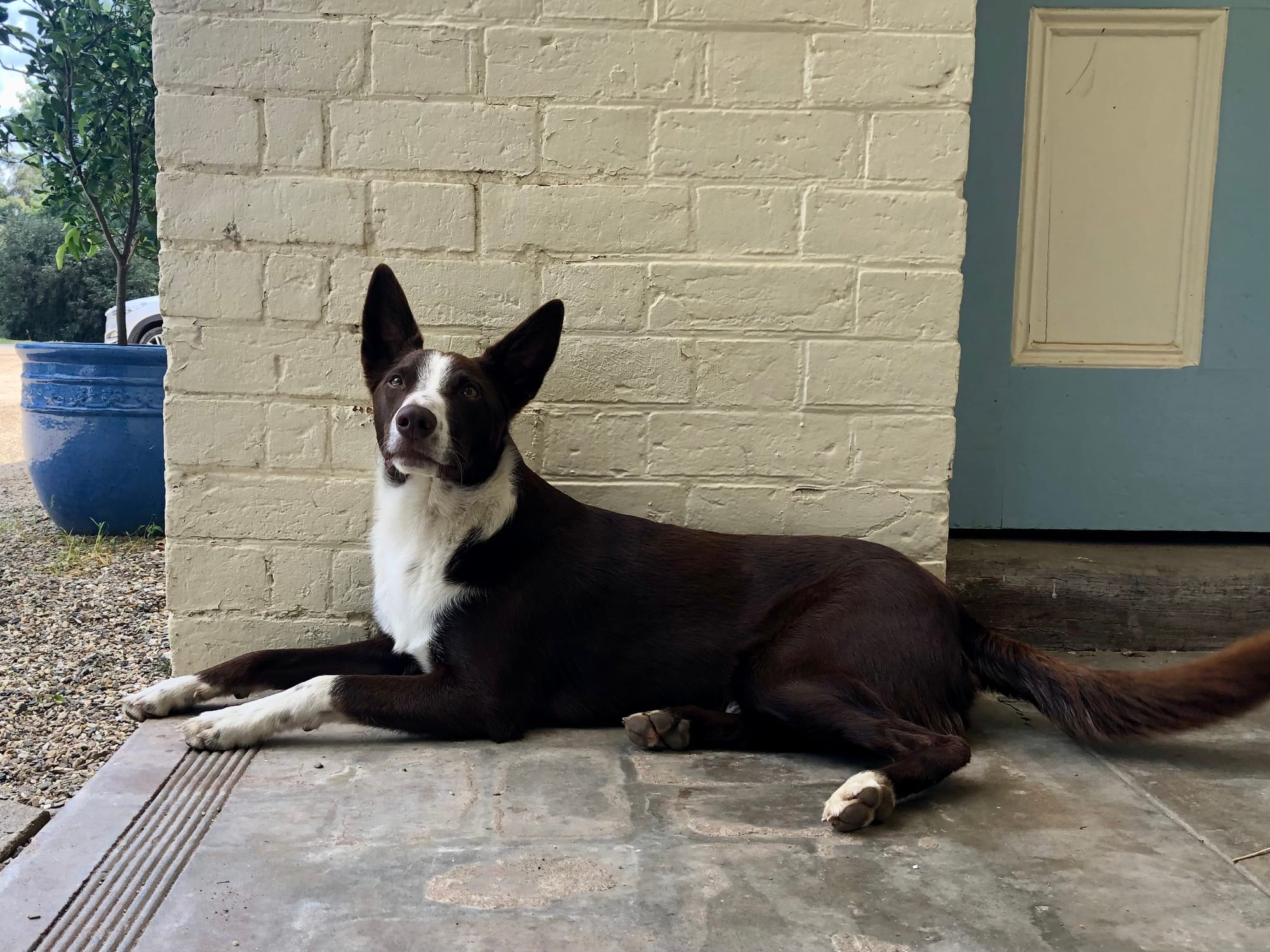 Take a trip to Tarrawingee Post image