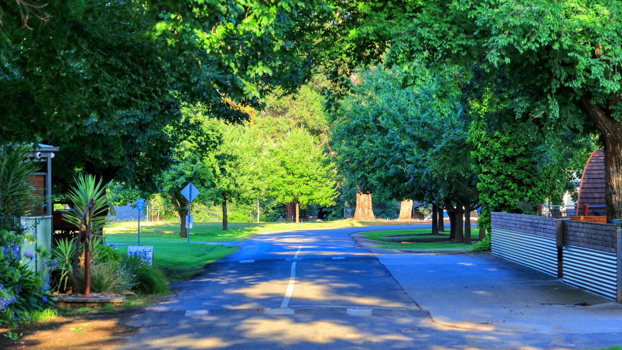 Visit Chiltern this autumn Post image