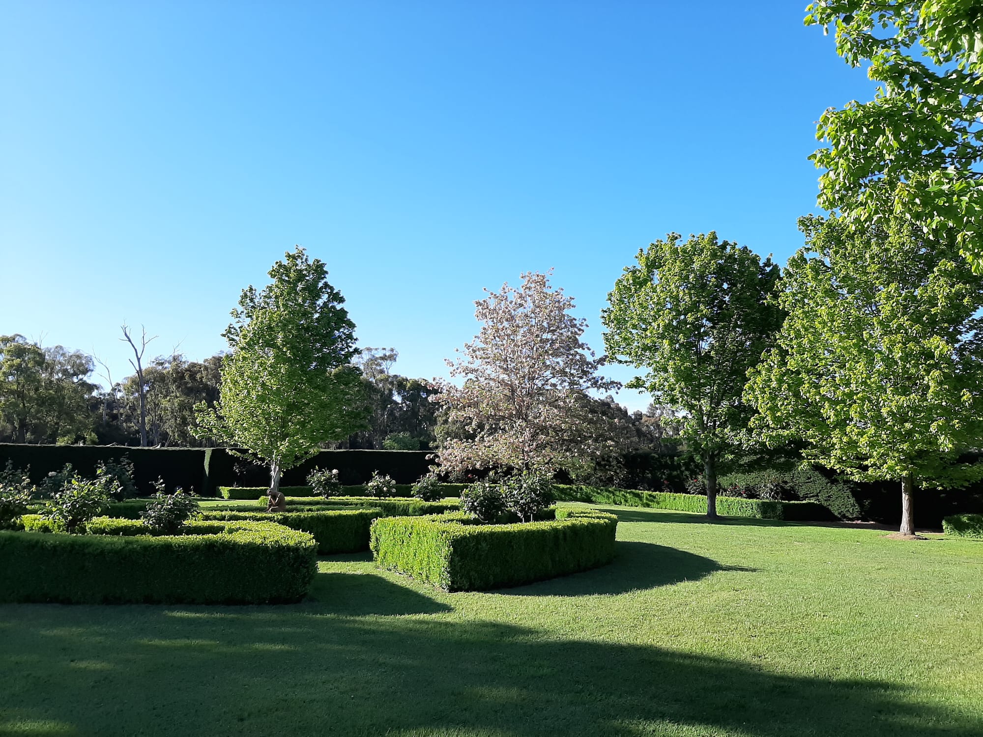 High Country Maze Post image