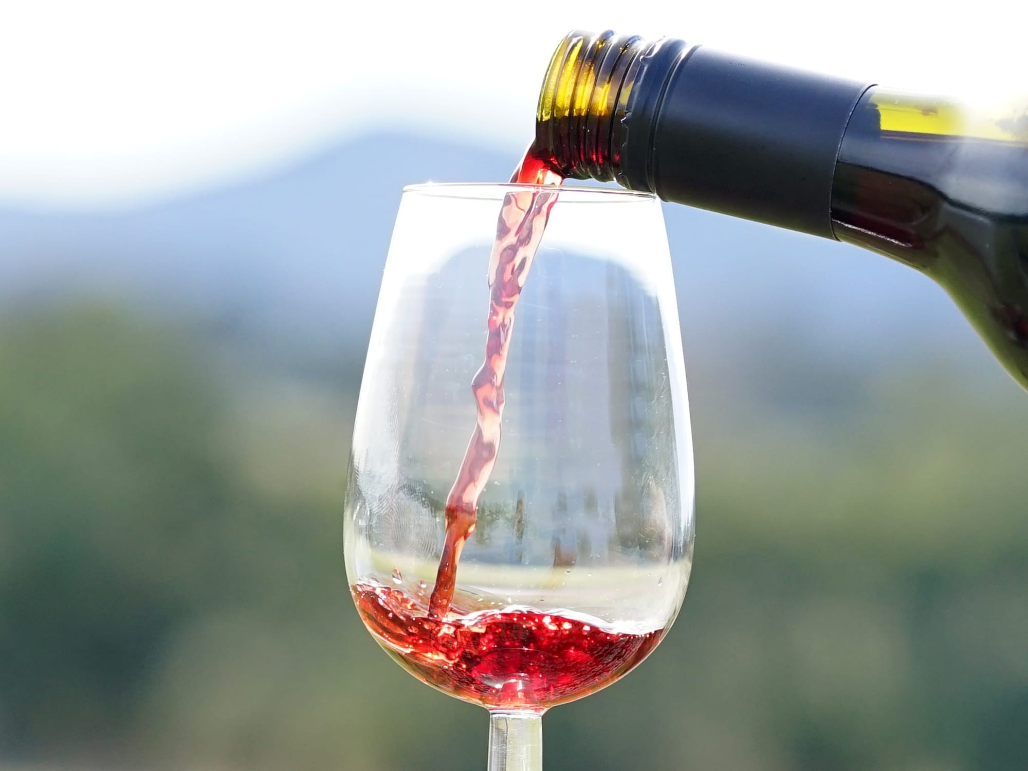 Unique wines for everyone Post image