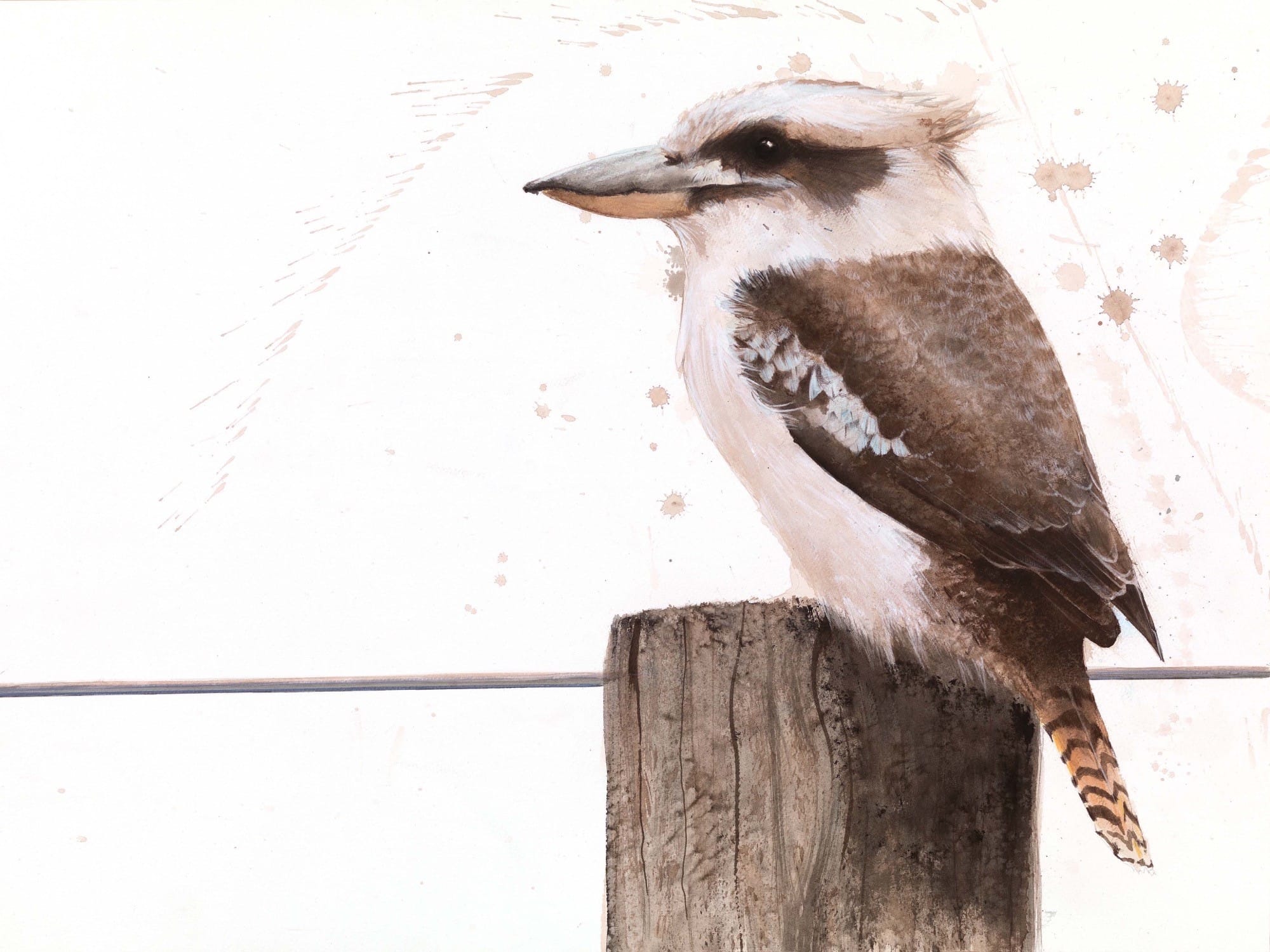 Magnificent Marysville is ready for you Post image