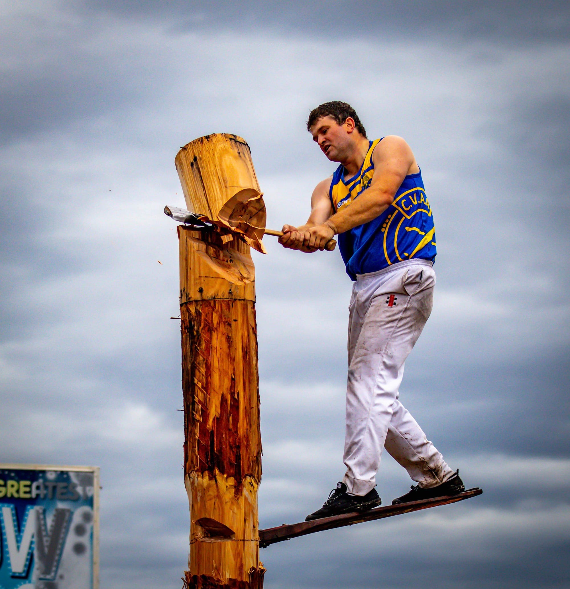 Logging ban stalls wood chop competition preparations Post image