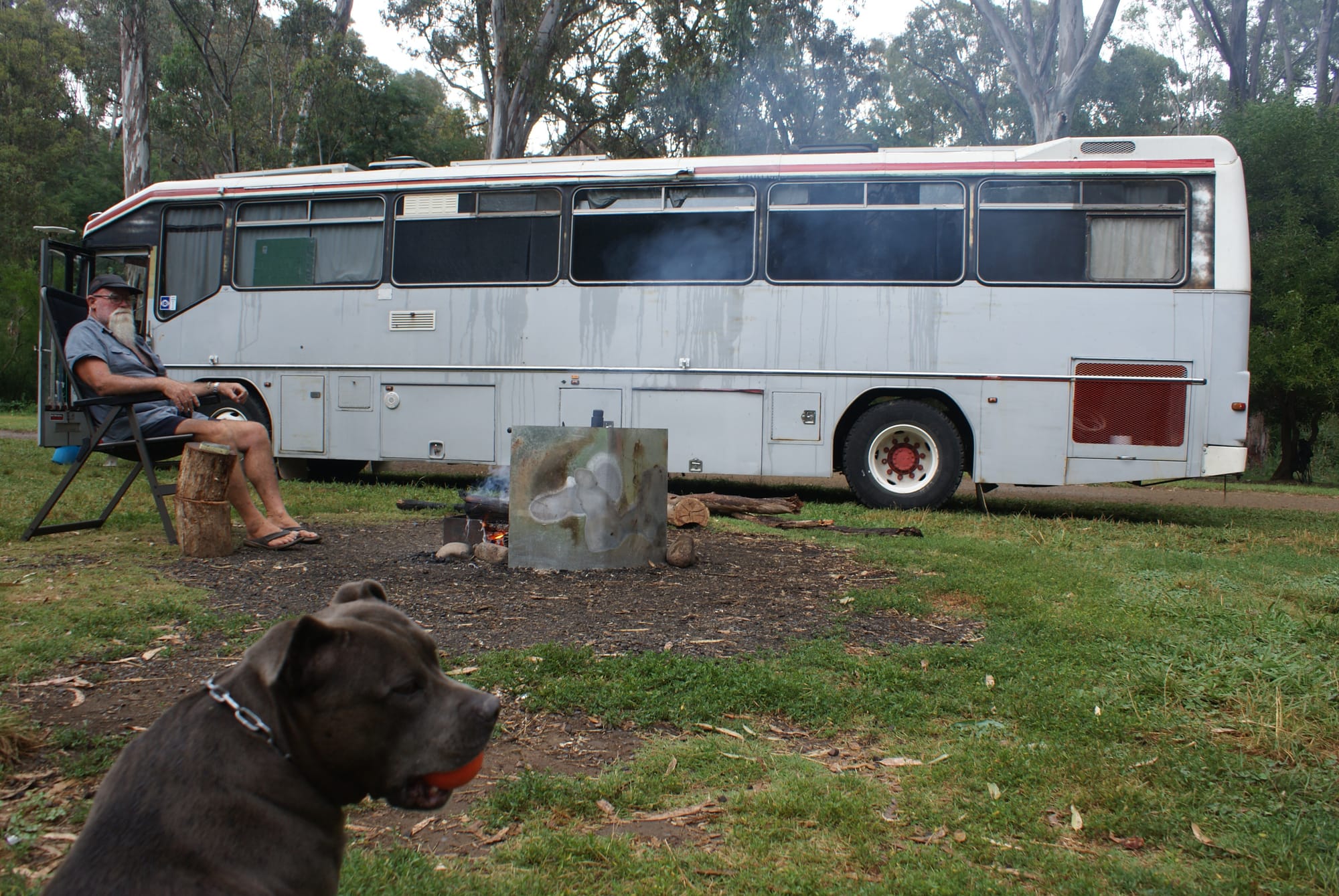 More visitors enjoying region Post image