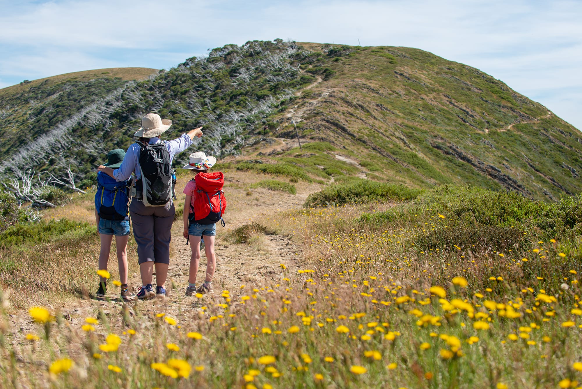 From skis to feet and bikes Post image