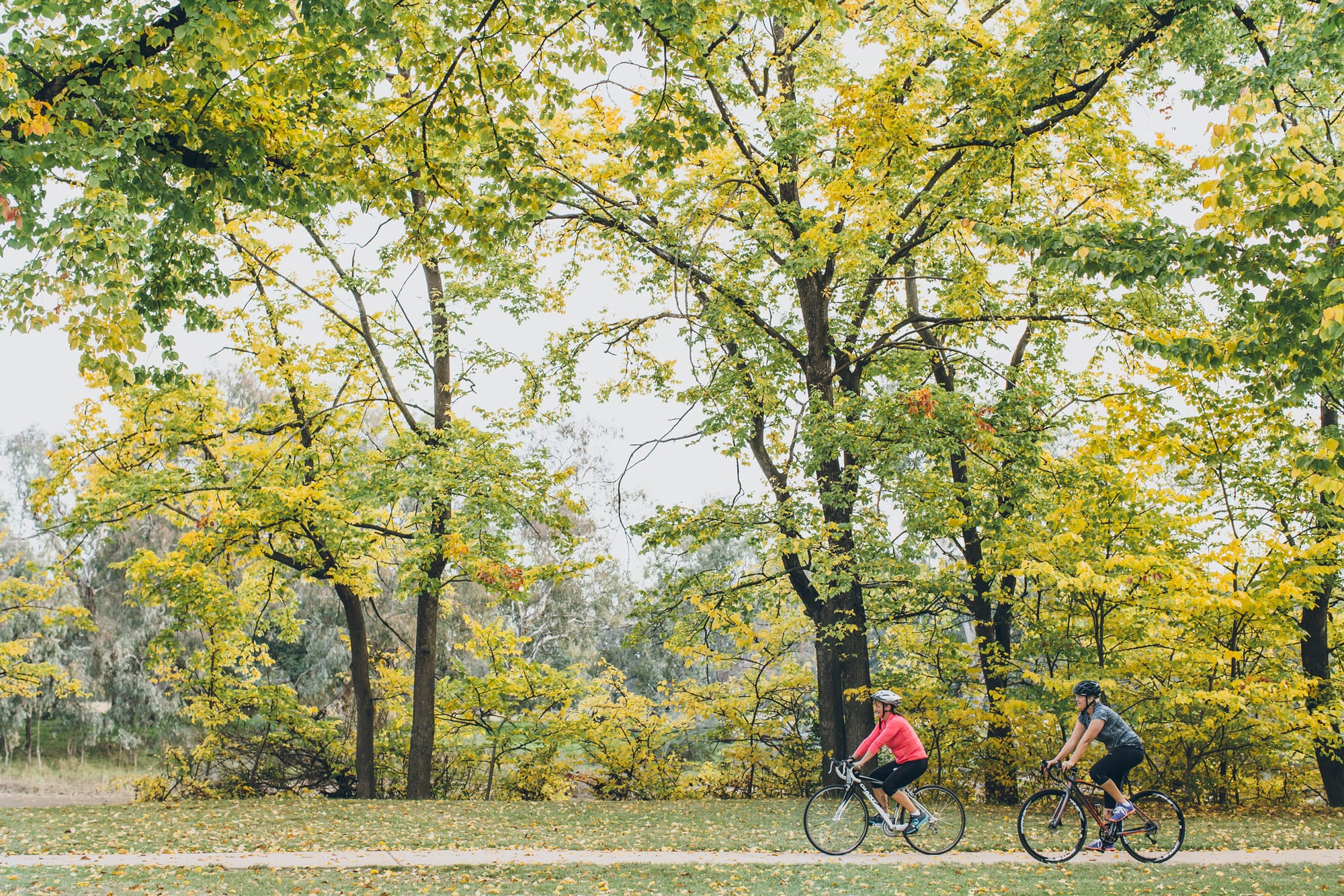 Albury, Wodonga or both – the choice is yours Post image