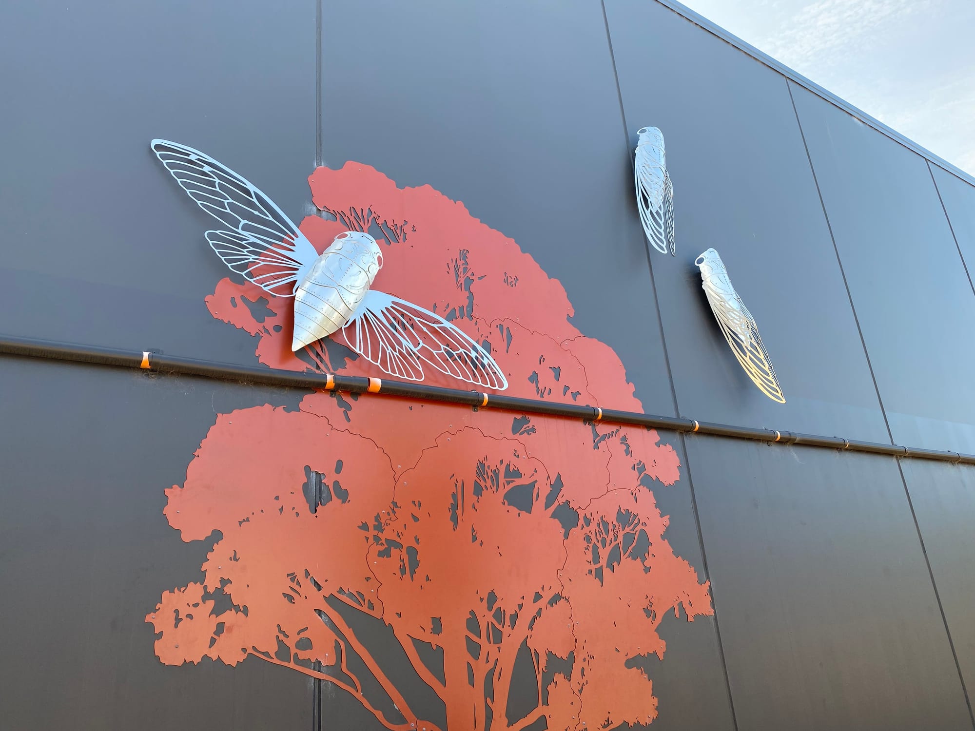 Victoria or NSW – the choice is yours Post image