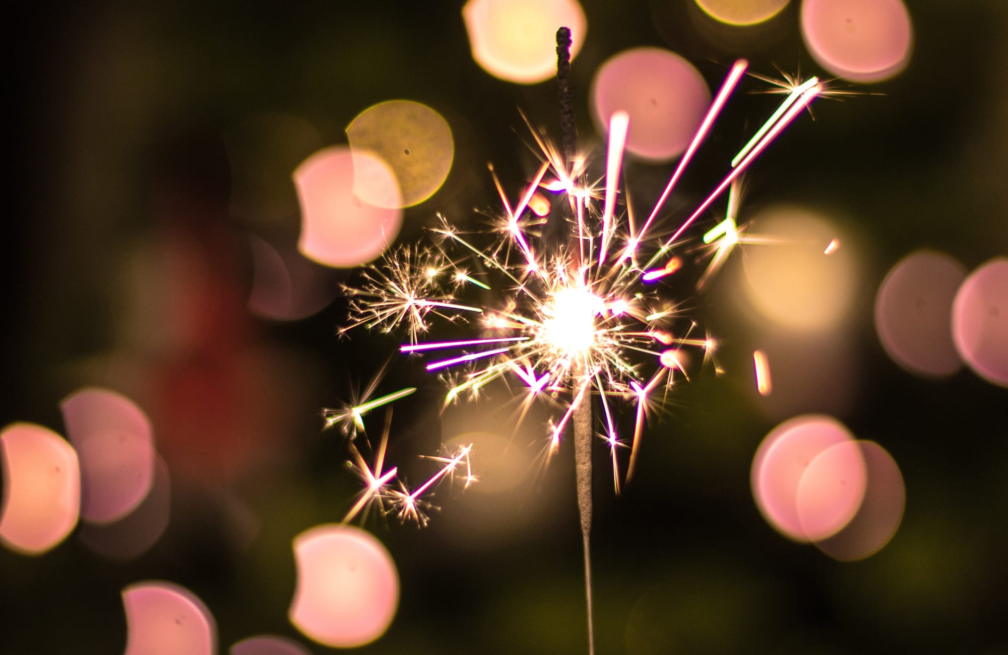 Alexandra Community Christmas Tree Festival Post image