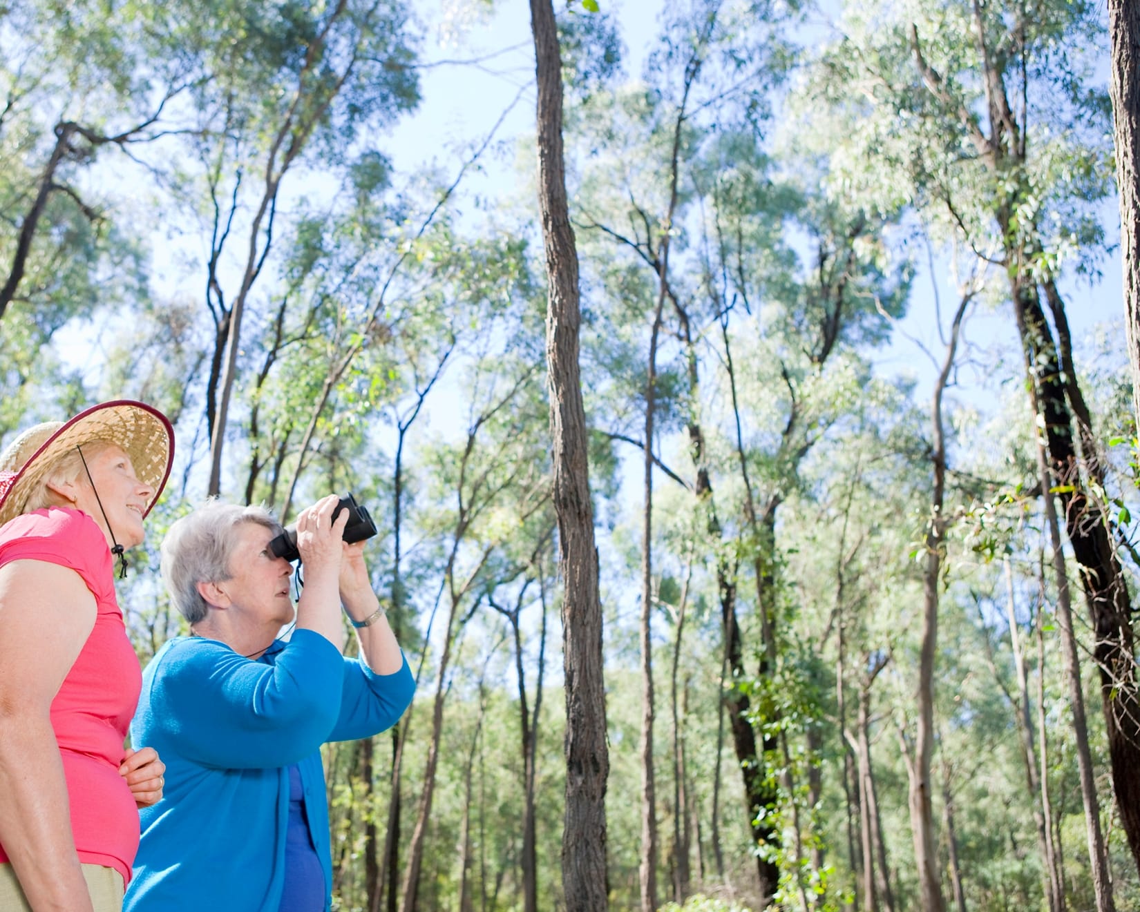 Must-visit autumn escape Post image