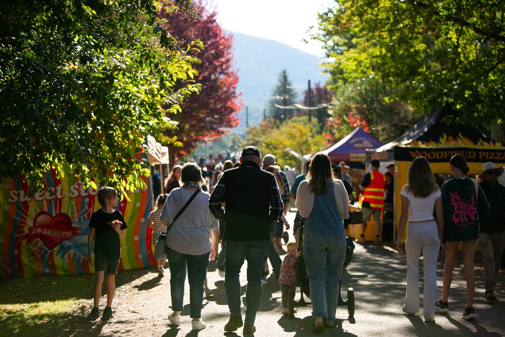 Golden hues and High Country harmonies Post image