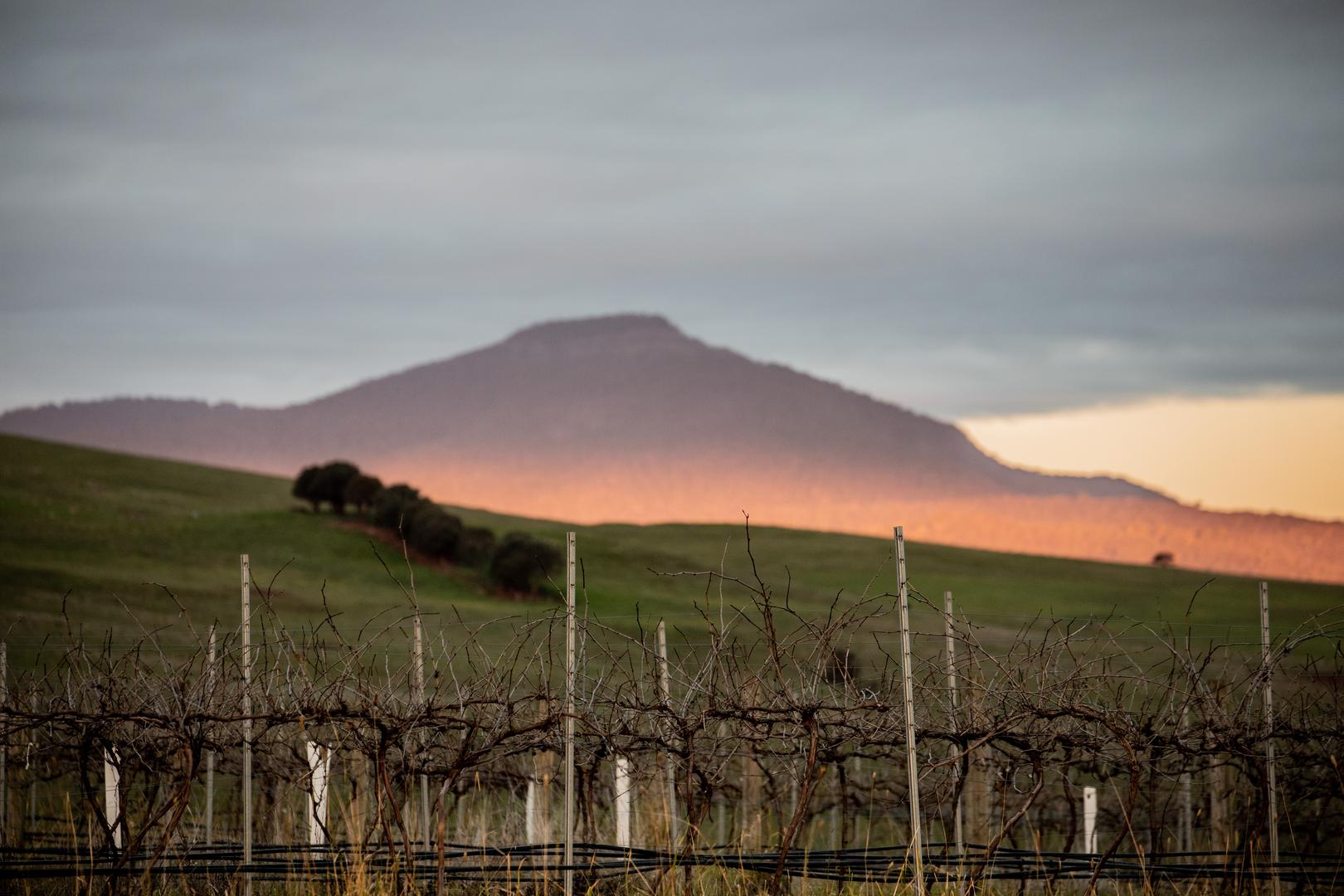 Echuca - Cobram Post feature image