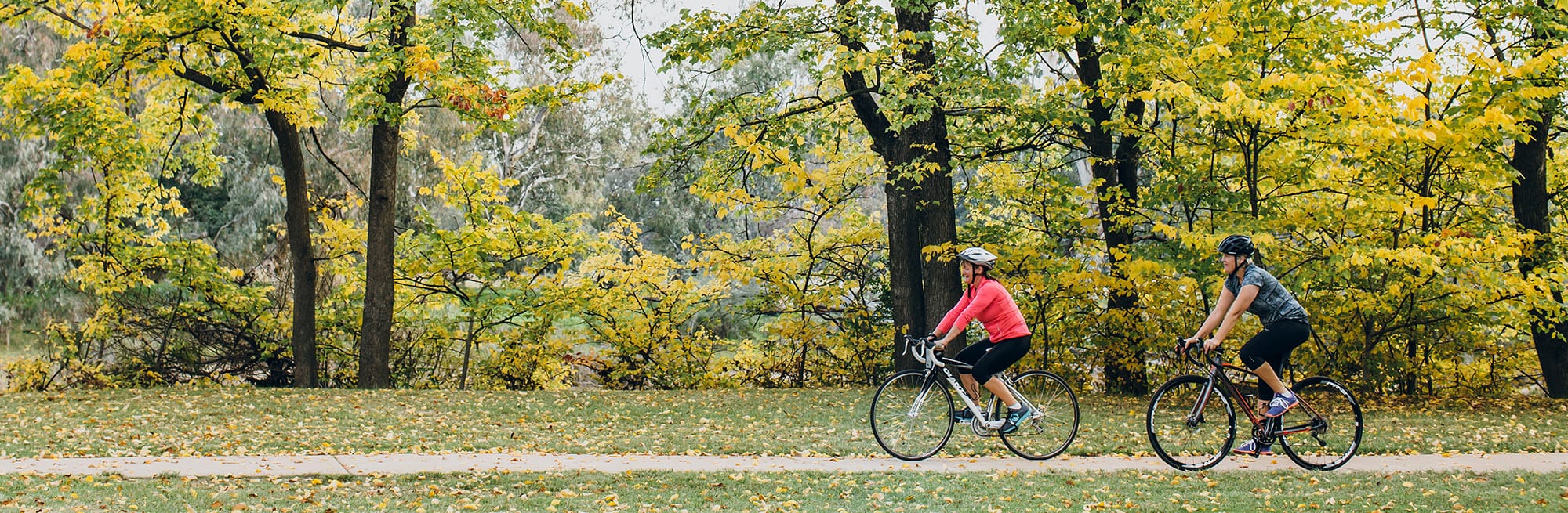 Tallangatta - Mitta-Mitta – Dartmouth Post feature image