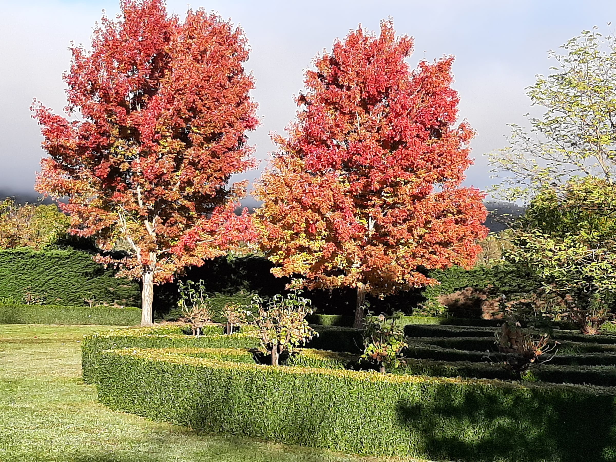 Where else would you be this autumn? Post feature image