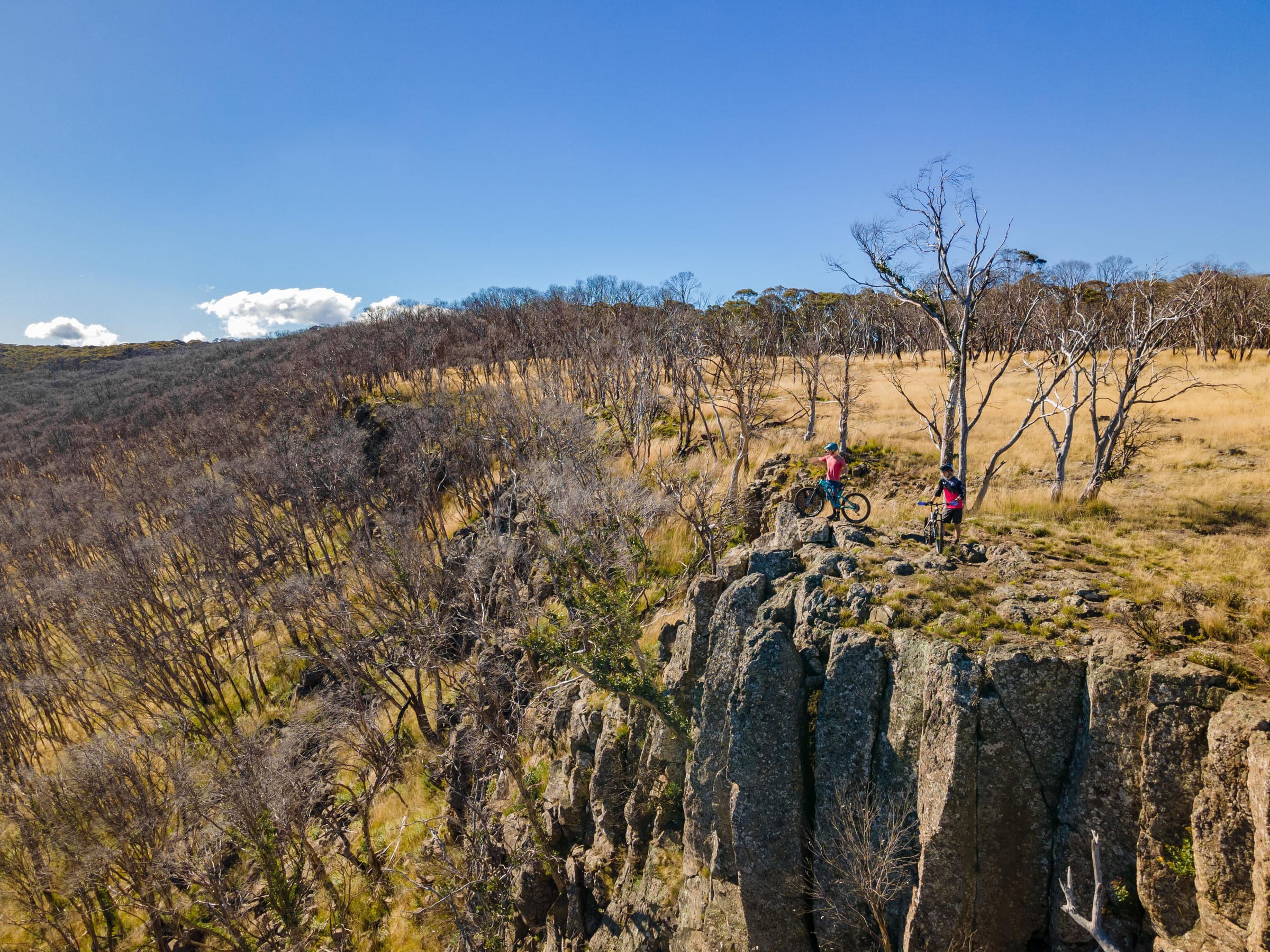 Put Dinner Plain on your wish list this autumn Post feature image