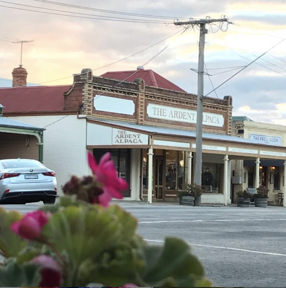 The Ardent Alpaca Post feature image