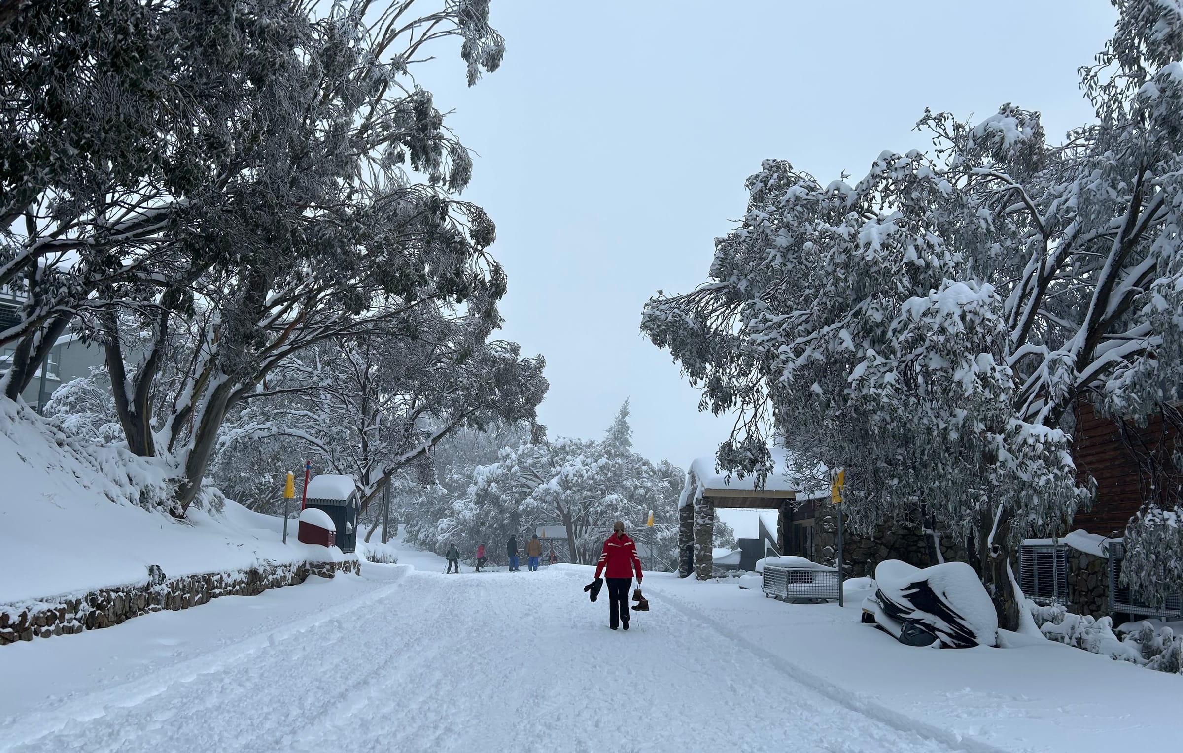 Festive fun, culinary delights get season off to great start at Falls Post feature image